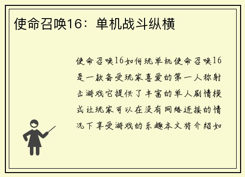 使命召唤16：单机战斗纵横
